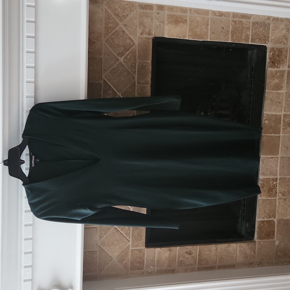 Express Fitted Green Dress